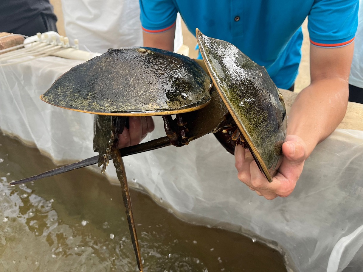 �����r�ִ�W�֌WԺ���`꠸��_Դ�_չ�Ї��c���ջ��