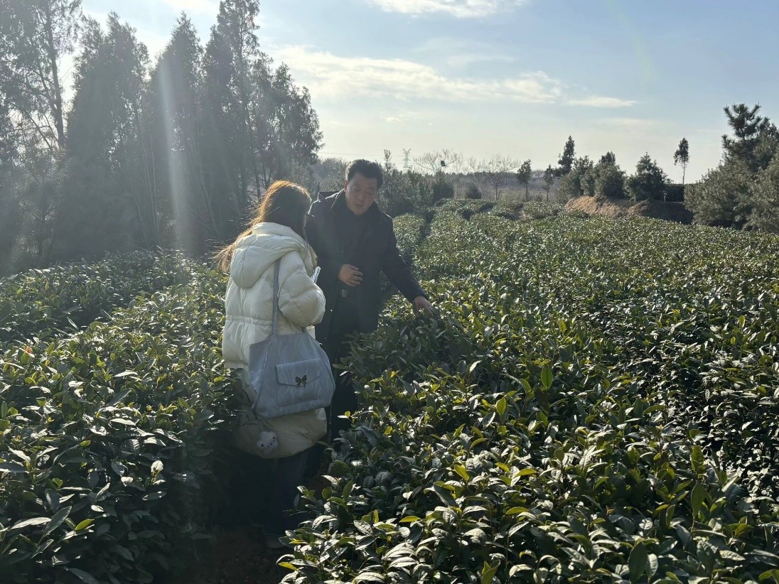 �Ԍ���̽��֮�⣬׌���վG����ƪ����