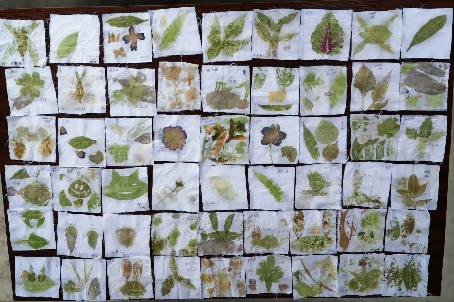 �ز��N������סʢ��ӛ��