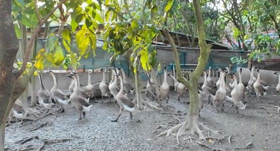 �����������l����Ʒ���x���Z�h��