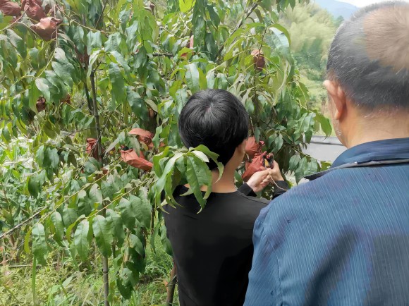 ���M�l�壬���`�ɲ�