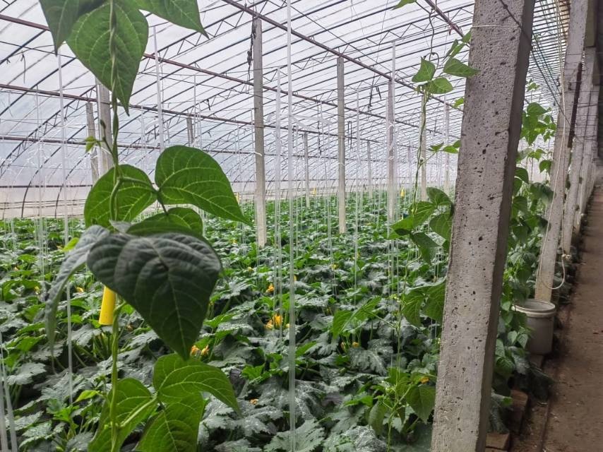 ���｛�������l�����d �Gɫģʽ�`�д�ʳ���^