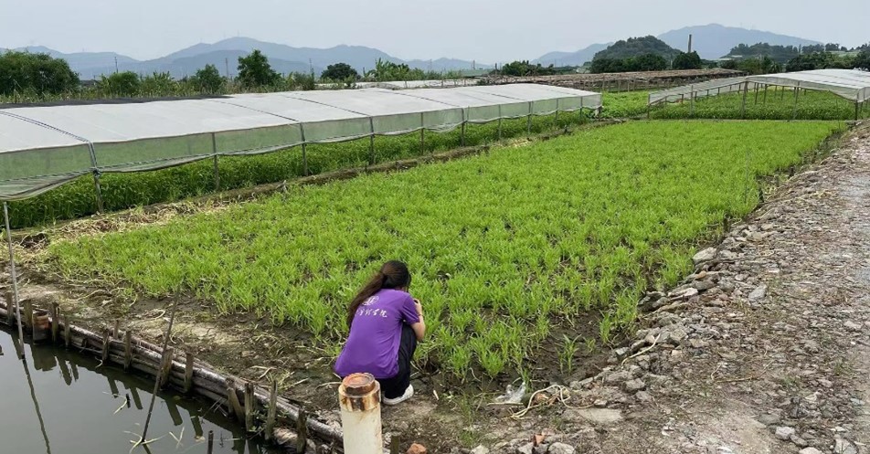 �Ͼ�ؔ����W��������F�ǰ����ͨ���_չ���������c���B���O���ؿ���