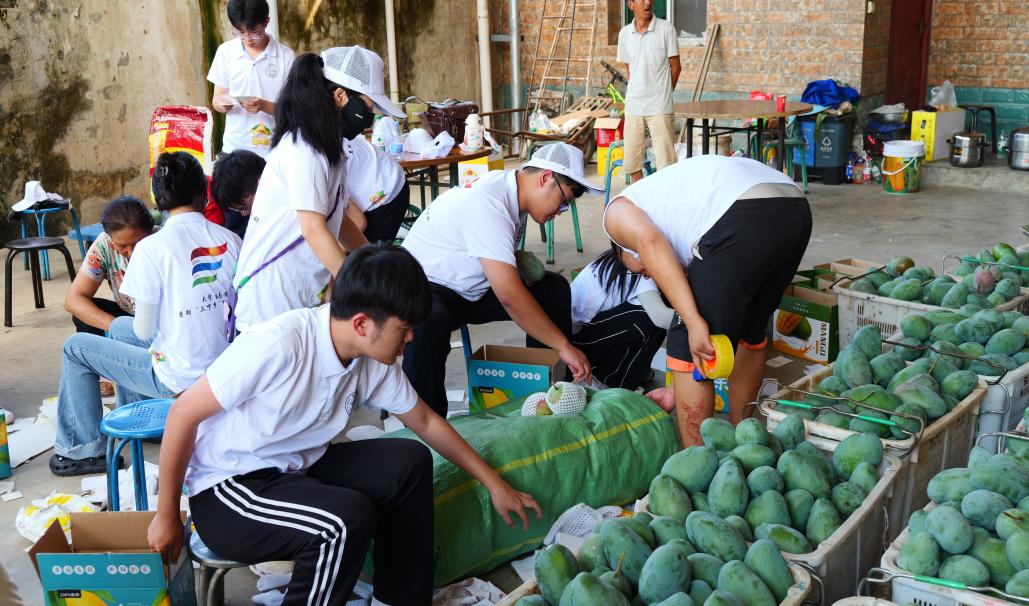 ����â���@�أ����L���d֮·