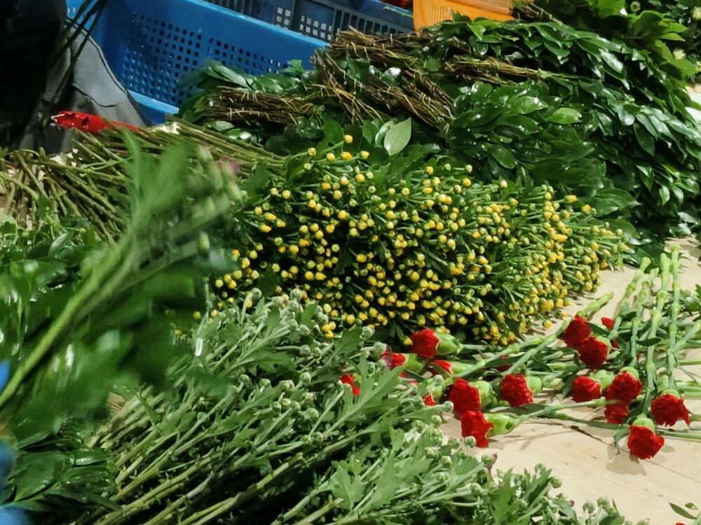 �p���R�w�����L�l�����d���� ����7��16�ջ�Ӽo��