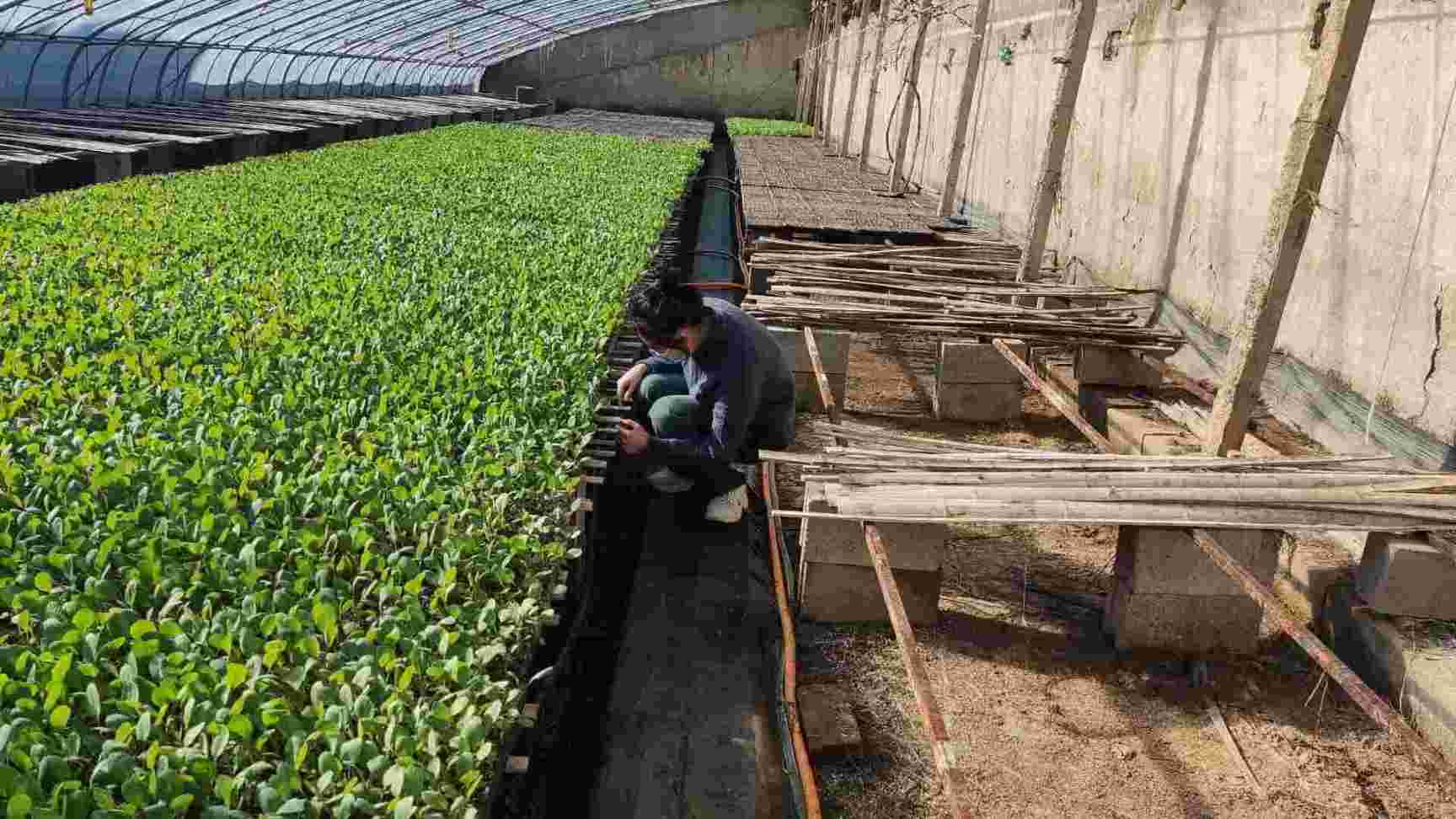 ¡���r������æ��������ѿ�G�ⰺ