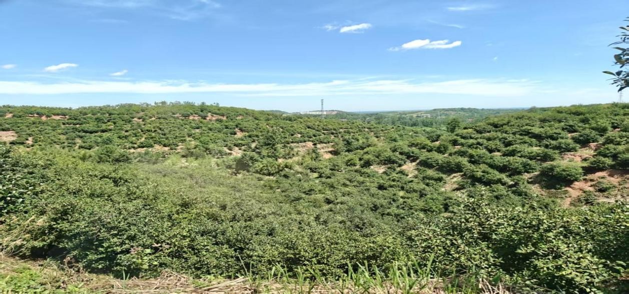 �Ͼ�ؔ��(j��ng)��W(xu��)��һ����͡�������l(xi��ng)������կ���ͮa(ch��n)�I(y��)���c������