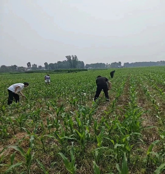 �����l�����d�������Ļ����衪���Ї�ʯ�ʹ�W���������l���������d��������`�F���ӱ������׿h������`���