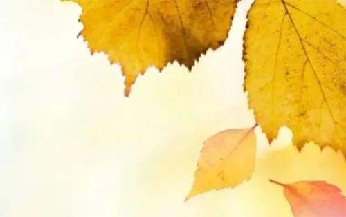 �����c��еı��_ʽ