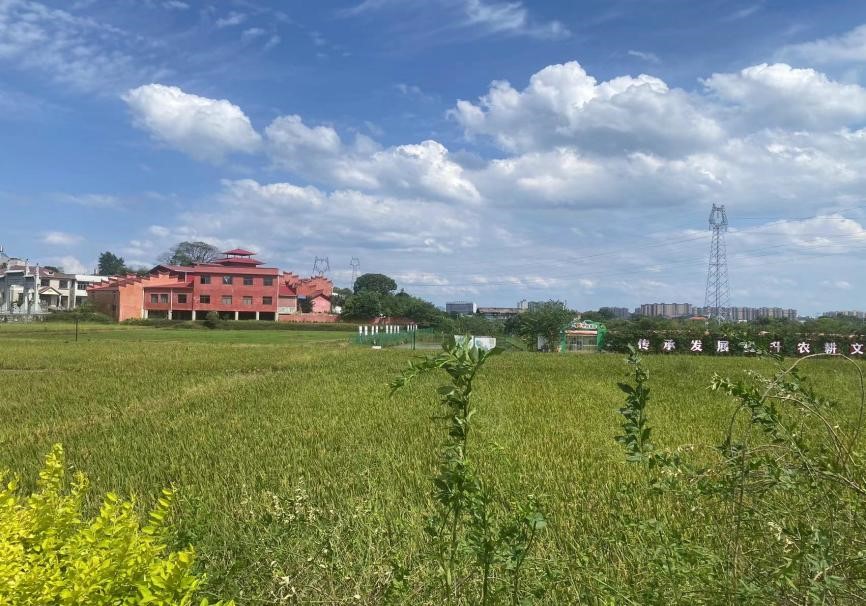 �Z�������������d�l�������ϴ�W���ČWԺ���Z����Ҋ�����`�F꠸��g���������_չ�{�л��