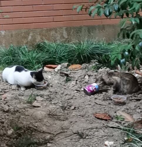 ��W(xu��)�����(hu��)��(sh��)�`һ������ɫ�ʣ�׌��(��i)������