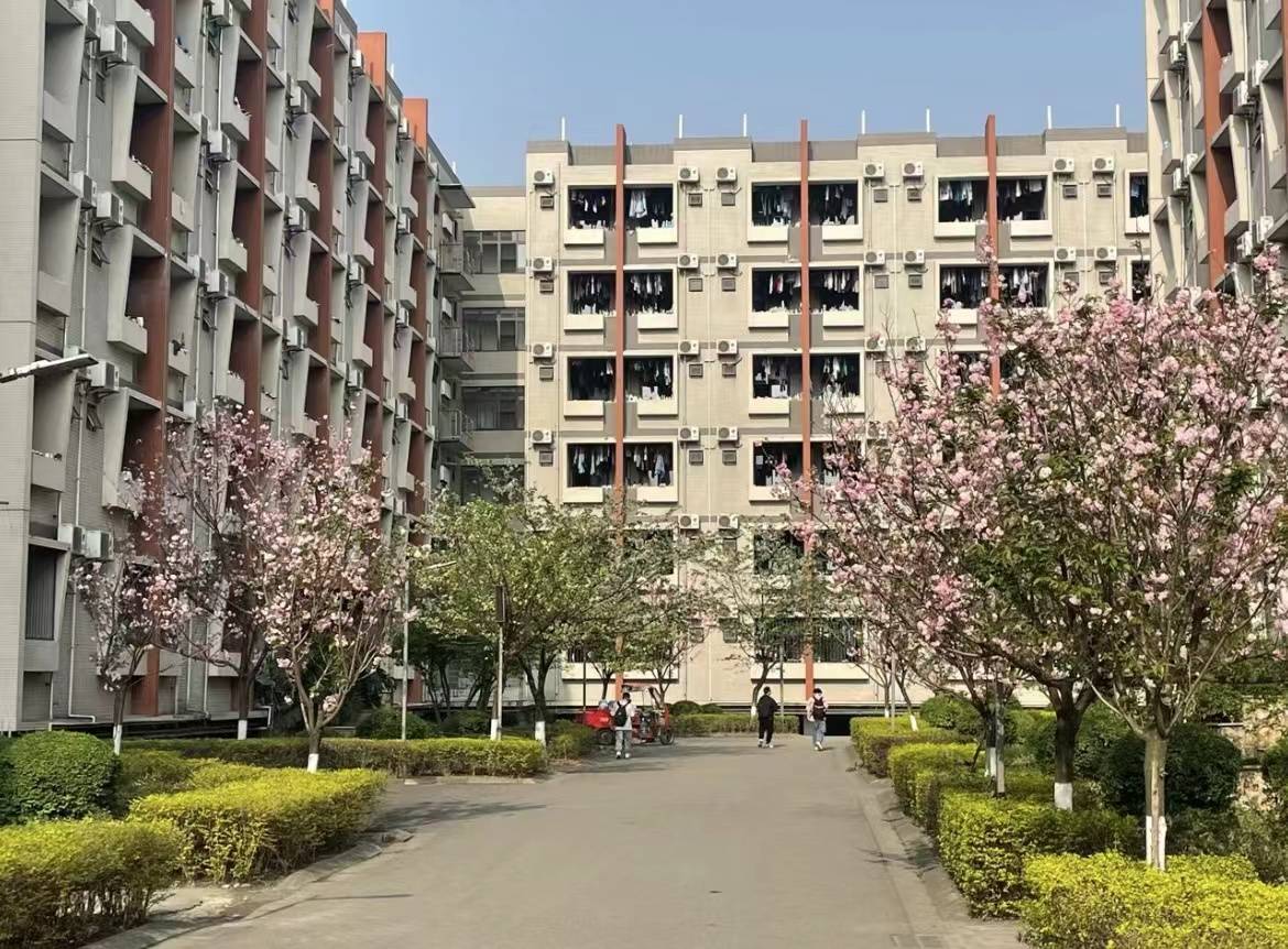 ����ʯ�ʹ�W(xu��)У�@