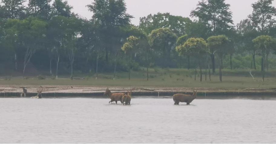 �߽�������B�����o�Gɫ�҈@