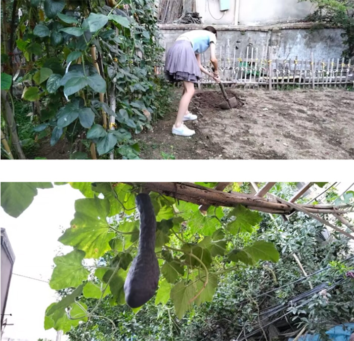 �l(xi��ng)�����d���a(ch��n)��(qu��n)���С���������`�F�