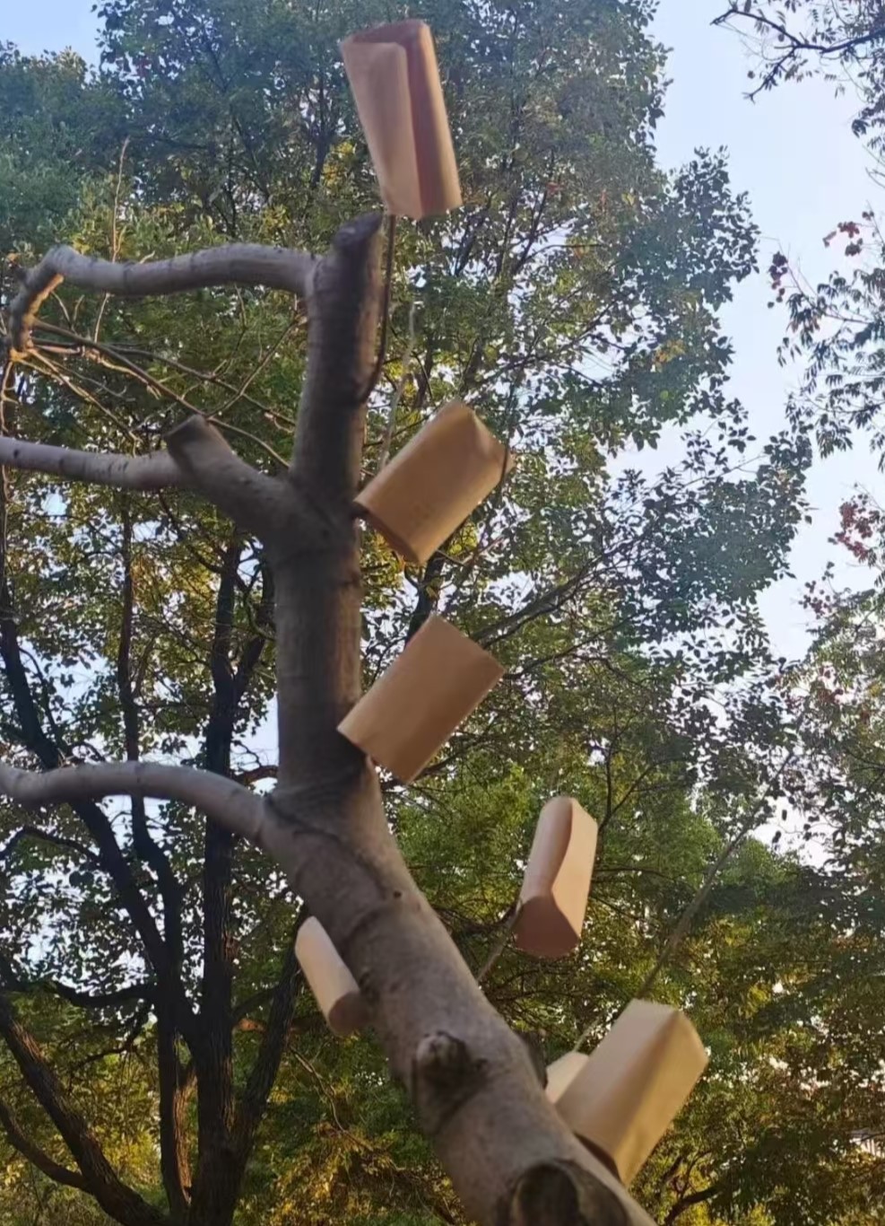 ����ؔ��(j��ng)��WVR�WԺ����ʮ���ÌW�g(sh��)��(ji��)�A�M�Y(ji��)��