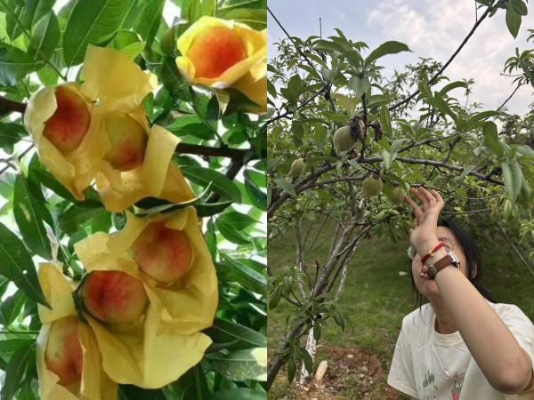 ����r(n��ng)�I(y��)�z�a(ch��n)�����l(xi��ng)�����Ρ����o�a�ɽˮ���Үa(ch��n)�I(y��)��(sh��)�`���(d��ng)�����l(xi��ng)�����d​