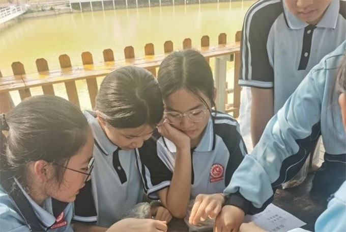 ˎ������ ���t(y��)Ȥ�W(xu��)�����������B(y��ng)�����F(tu��n)�(du��)���M(j��n)��ɫ������г��в����t(y��)ˎ�Ļ��ЌW(xu��)���(d��ng)