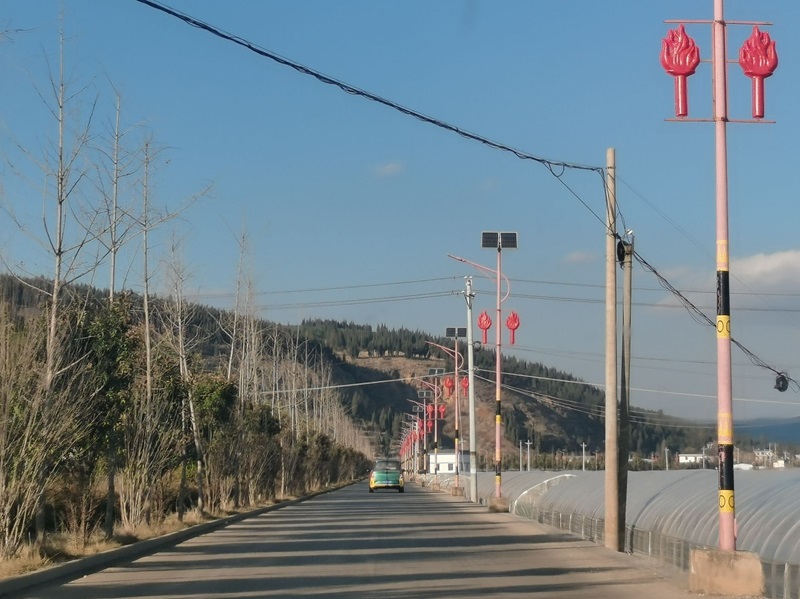 �l�����d���r�����I�r��ץ����