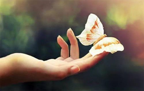 2023���W(xu��)�ڇ�(gu��)�������v�壨���x31ƪ��