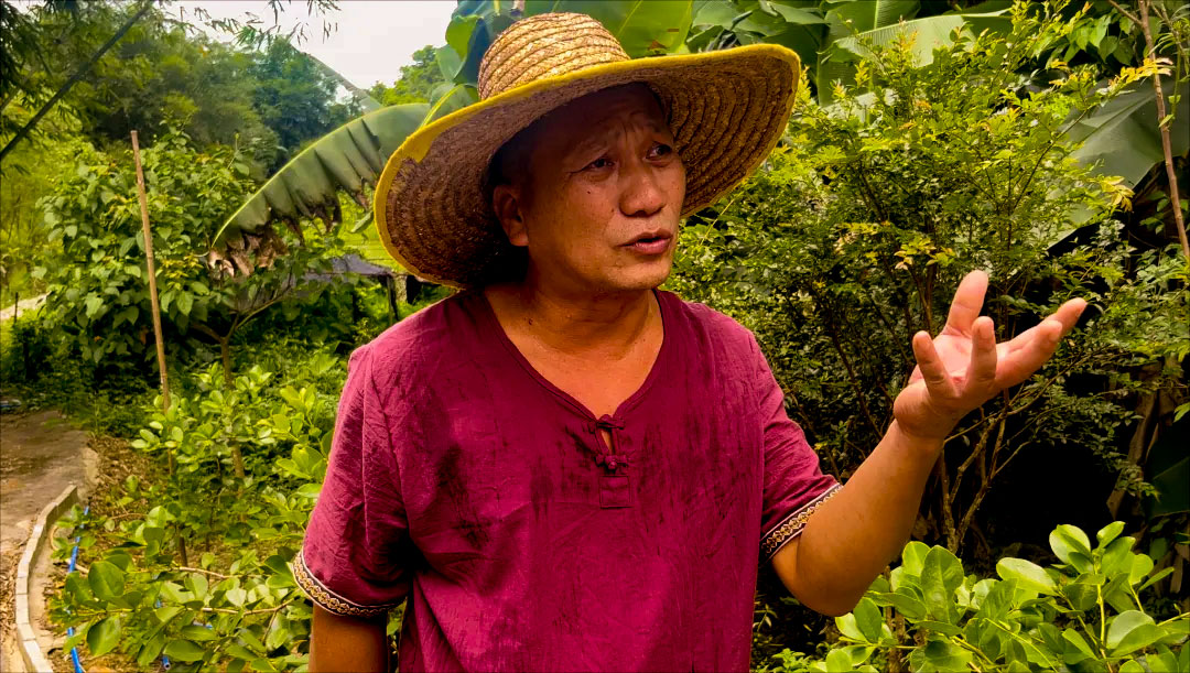 ��;���h���P�в�ˎ֮���