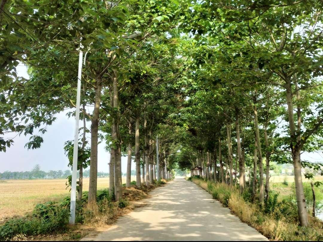 �c�c΢���l(xi��ng)��·��ȭȭ�W���{(di��o)����