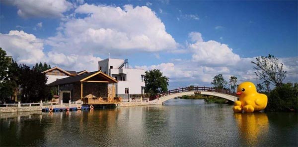 �Ͼ���ͨ�I(y��)���g(sh��)�W(xu��)Ժ�\ݔ����W(xu��)Ժ�����۽������l(xi��ng)�� �����l(xi��ng)�����d���{(di��o)�ЈF���X�Ҷ��_չ����������`���