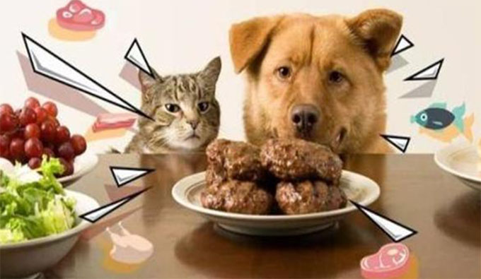 ���ӵČW��͵��