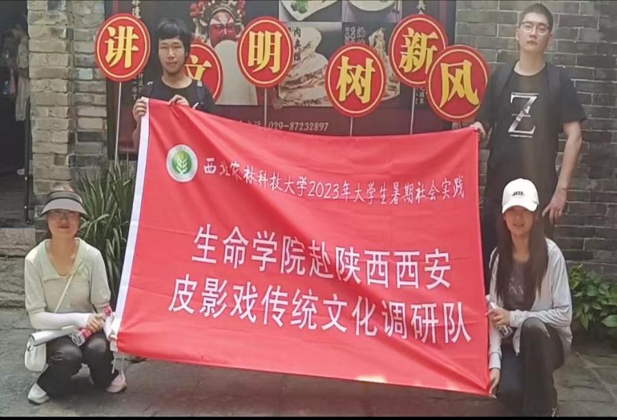 ������ƤӰ֮�l(xi��ng)�P(y��ng)ƤӰˇ�g(sh��)֮��