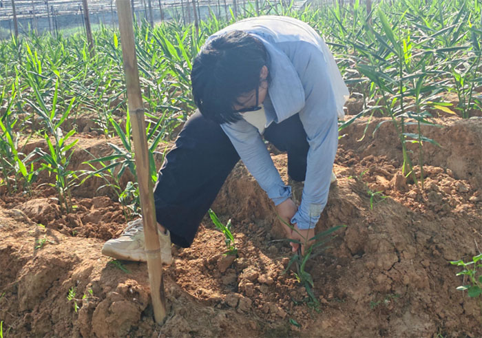 �Ϲ�������WԺ�W�����M�~�꽪��ЌW���z��ˇ �x���l�����d