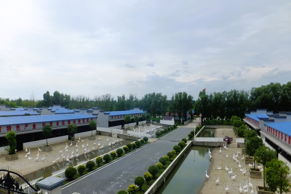 ʯ�����Ĺȣ��Z�踻�l��