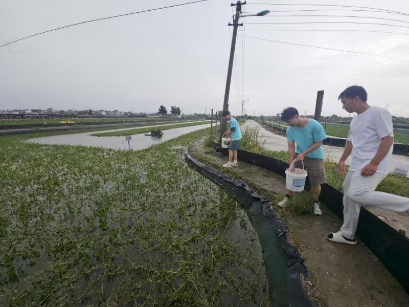 ��퍝O�⣺�����r�I��W�W�ӱ������݅^�_չˮ�a�Bֳ�I�{��