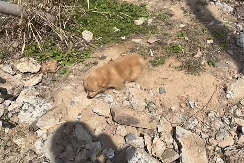 �P(gu��n)��(��i)���˄�(d��ng)��