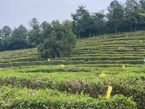 ��ͥ���r(n��ng)Ʒ����������ɽ�����K����ɽ��ͥ�(zh��n)