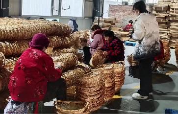 ����������W�����c���ΌWԺ��׷�LʰҰ��������`ꠣ��������L�q���g���ڄ��N���Z����