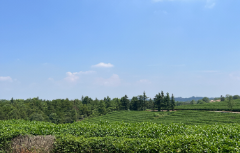 ���B��@�h���h�����⽛�������