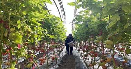 ����Gɫȫ�a�I� �����l�彛�����d