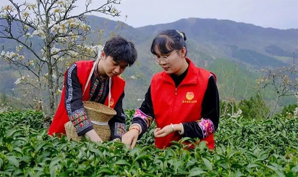 ���������Ӌ�������ഺ����ҫ�۵�ɫ��