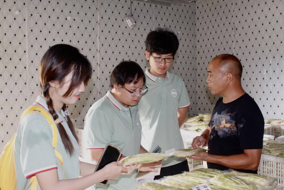 С��S���ơ����¸�·���˄��l(xi��ng)�����d����韲���