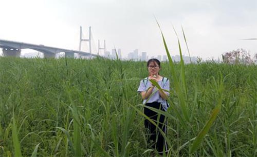 �_̤���أ������ǿ�