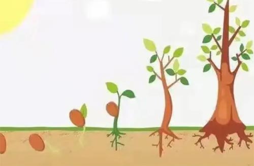 ���N�c�ի@