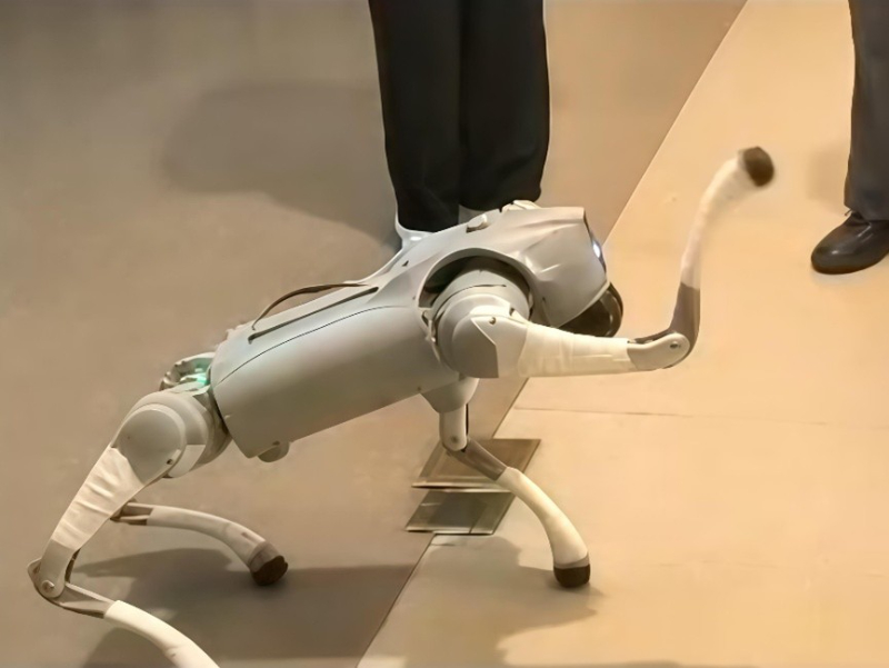 �D��C������������������ۼΈ@�B����^���L�߂����к������΁�骔z