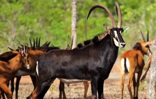 ����Σ�U���ܸ��ðlչ