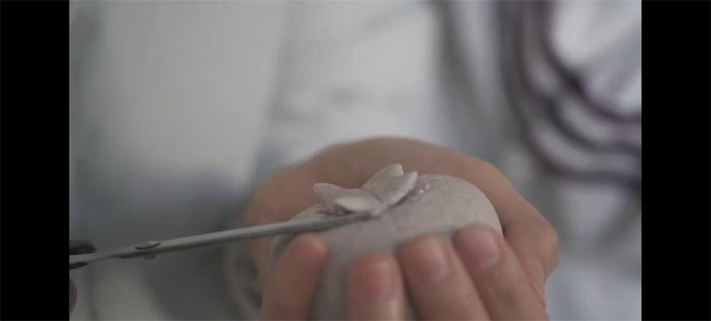 ���z���x����������