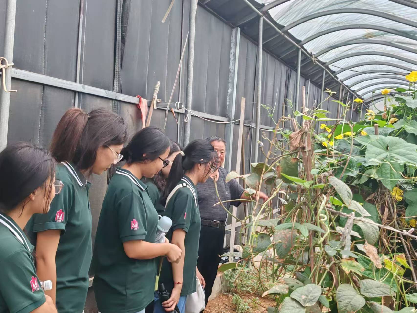 ̤���S��ӡӛ���B�ӕr���}��