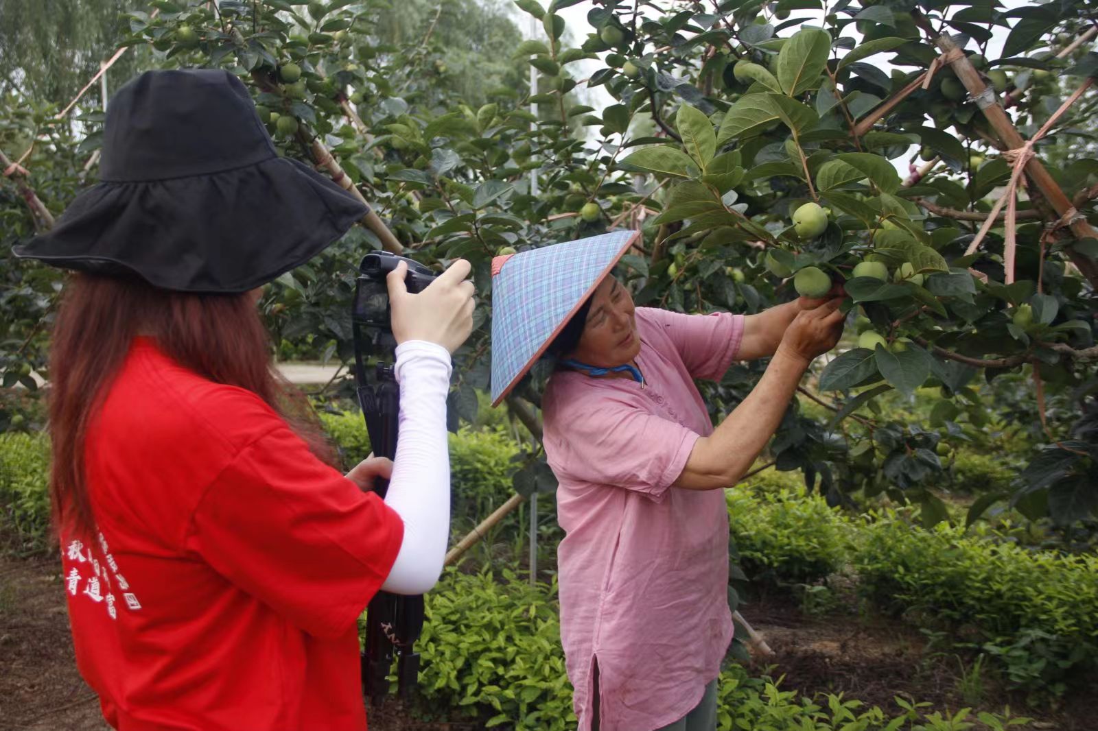 ������̫��������Ӽt