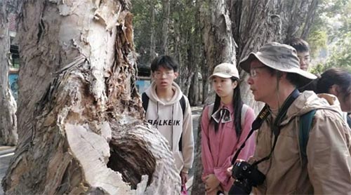 ͽ��ɭ�֣��Ї@���A