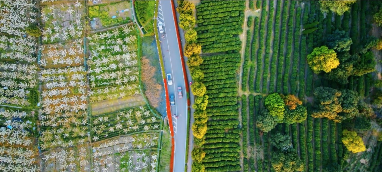 ��ɽ�a�I�����壬�Gɫ�lչ�����d