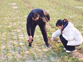 �������磬䁾��l�����d���·