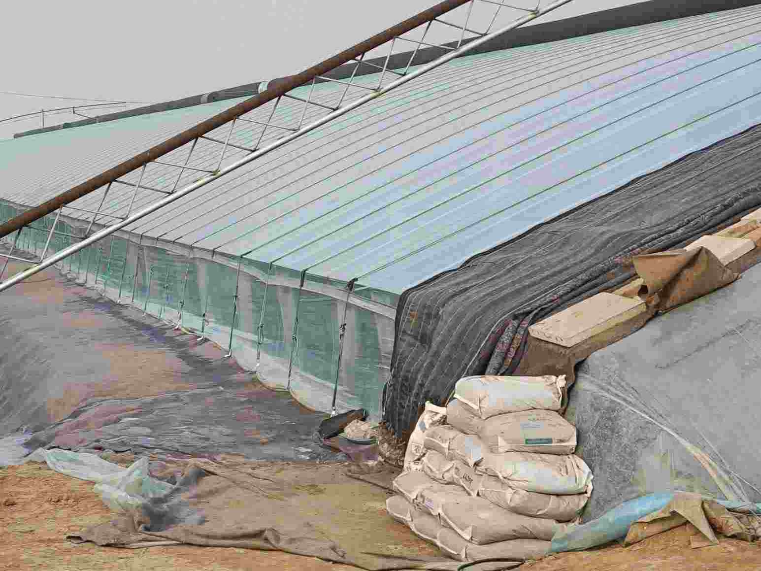 �lչ�F���Oʩ�r�I �������ա��Եý�����