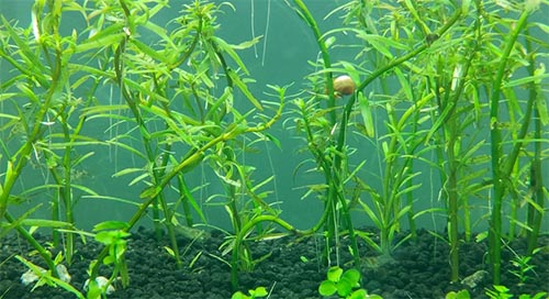 ؝��ˮ�ݵ��~